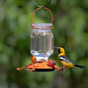 Amazon Com Perky Pet 9113 2 Top Fill Glass Oriole Feeder 22 Oz Garden Outdoor