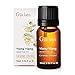 Ylang Ylang Essential Oil - Nourishing Radiance for a Confidently Deep Clean&nbsp;(10ml) - 100% Pure Therapeutic Grade Ylang Ylang Oil primary