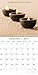 Beautiful Serene & Tranquil Photographs - Zen 2017 Monthly Wall Calendar, 12