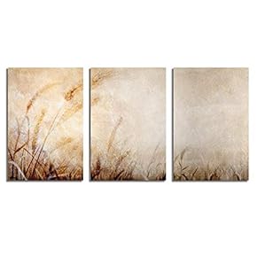 Canvas Wall Art Abstract Vintage Style...