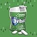 Orbit Spearmint Sugarfree Gum, 55 Count (Pack of 4)