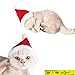 Adorable Cute Cat Dog Christmas Santa Hat and Bow Tie Collar for Cats Kitten Puppy Small Pets, Red and White