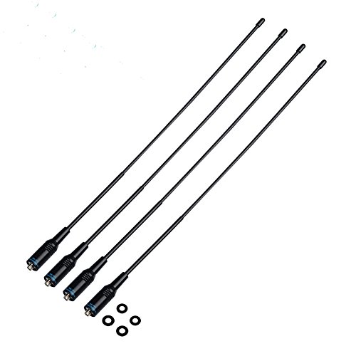 41OdX%2BwC40L.jpg
