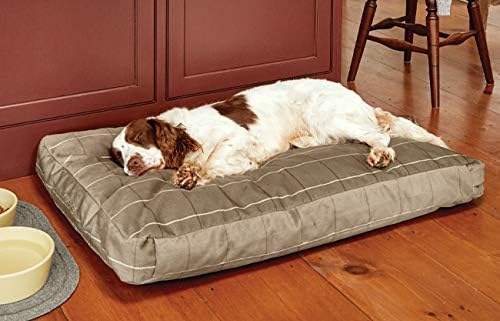platform dog bed