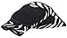 Tachikara Zebra Knee Pads, Small-Medium