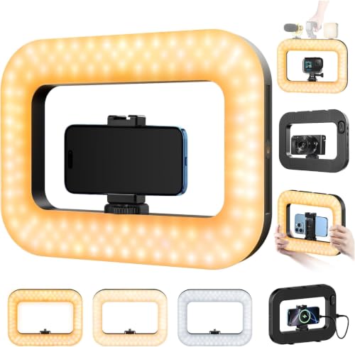 yAyusi Mobile Phone Light Video Light Phone Stabilizer with Light, 8000mAh LED Selfie Ring Light with Phone Holder, Video System for Smartphone/Action Cam/Vlog/TikTok (Clip)