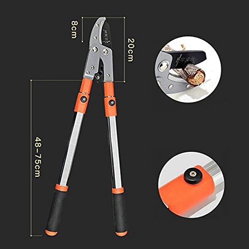 LCAIHUA Teleskop Astschere 680 mm bis 950 mm, Scharfe und Bequeme Bypass Baumschere, Robustes und Sicheres… – Bild 4