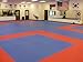 We Sell Mats - JUMBO Martial Arts Anti-fatigue Interlocking EVA Foam MMA Exercise Gym Flooring Tiles