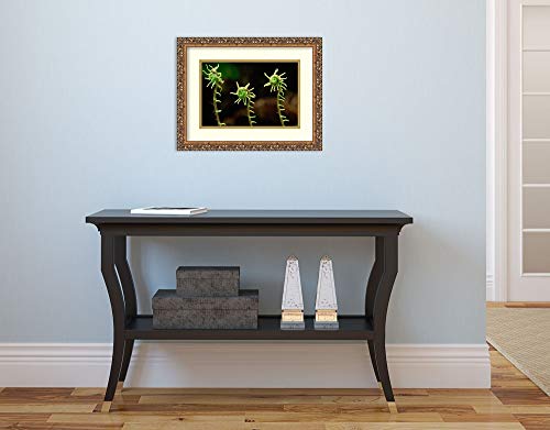 Framed Wall Art Print Deer Fern fiddleheads Pacific Coast North America by Gerry Ellis 17.62 x 13.62 - Thumbnail 3