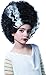 Rubie's Universal Monsters Bride Of Frankenstein Wig Costume