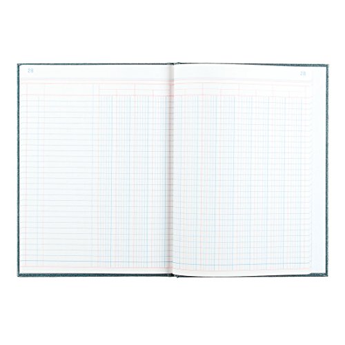 Top columnar book 12 column for 2019 Best Next Reviews