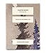 Juniper Ridge Douglas Fir Spring Tip Botanical Tea - Citrus Zest, Bright Evergreen, & Honeysuckle Notes - Vegan, Caffeine Free & Gluten Free - 20 Unbleached Teabags