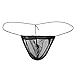 ANJUNIE Men's Transparent Thong Underwear Low Rise See Through Mesh Thong Soft Brief G-String Underpant