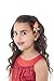 Little Adventures Island Princess with Hair Clip Dress Up Costume Size Small Age 1-3 - Machine Washable Child Pretend Play and Party Dress with No Glitter