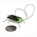 Solar Powered Grasshopper Children Learning Toy Solar Power Toy Solar Powered Grasshopper Frightened Grasshopper Kit - Solar Powered - Educational Toy