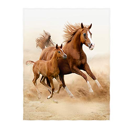 QH 60 x 80 Inch Two Beautiful Horse Pattern Super Soft Throw Blanket for Bed Sofa Lightweight Blanket for All Seasons - Thumbnail 5