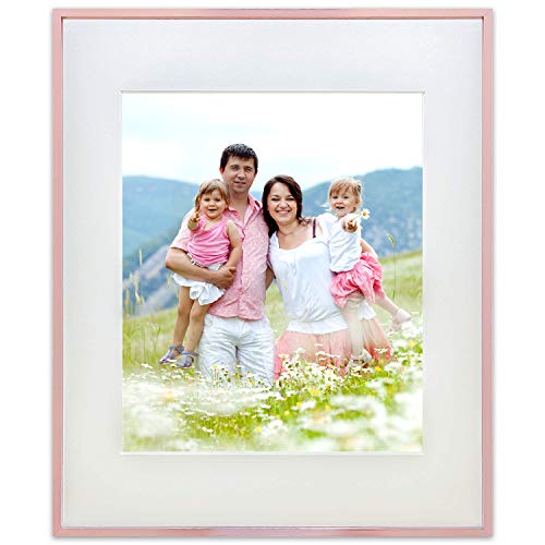 TheDisplayGuys Contemporary Aluminum Picture Frame Tempered Glass