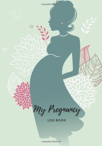 My Pregnancy Log Book: Record Book For Mums Moms | Diary Keepsake And Memories Scrapbook | Childbirth Preparation Planner | Checklists, Weekly Journal & More | Portable Size: Volume 2 (Parenthood)