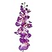 1 Piece of Artificial Simulation Butterfly Orchid Flower Plant - Rose red