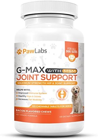 gmax joint support for dogs