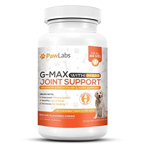 g max joint supplement
