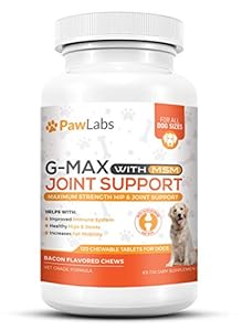 g max joint supplement