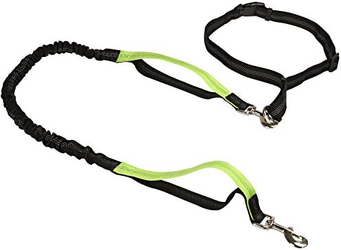 Hands Free Dog Leash for Running - Adjustable Waist Belt, Retractable Bungee, Dual Traffic Handles - Fits for up to 130 lbs Large Dogs (Black + Green Handle)