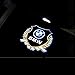 2X LED Gold Door Light Logo Projector Welcome Light For BMW