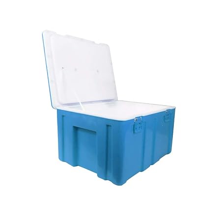 LIYANBWX - Nevera pasiva (60 L, Aislante, refrigerador y ...