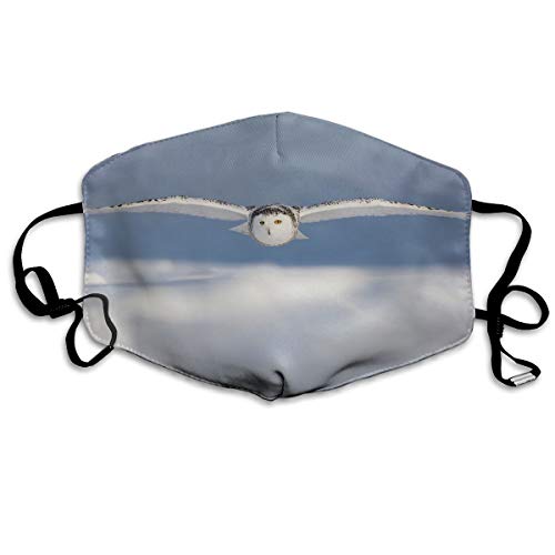 Sam-Uncle Anti Dust Face Mouth Cover Mask Snowy Owl Anti Pollution Breath Healthy Mask - Thumbnail 3