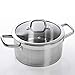 Duxtop Professional Stainless Steel Induction Cookware Set Impact-bonded Technology 10-Piece Set