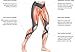 CW-X Conditioning Wear Women's 3/4 Length Stabilyx Tights, Black Rainbow, Large