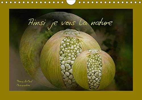 Ainsi je vois la nature (Calendrier mural 2020 DIN A4 horizontal): Des photos de fleurs mises en scène avec des différents graphismes (Calendrier mensuel, 14 Pages ) (Calvendo Nature)