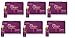 Shiseido The Collagen Enriched drink 10 bottles×6 Set◆Using Expedited Shipping 3~6 Days◆