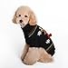 BOBIBI Dog Sweater for Christmas Cartoon Reindeer Pet Cat Winter Knitwear Warm Clothes