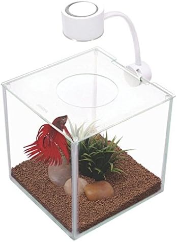 Marina CUBUS Glass Betta Kit