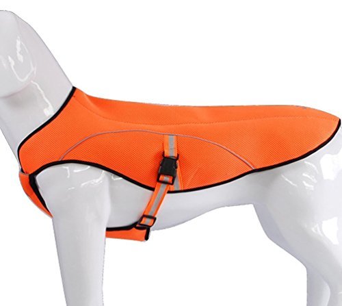 cooling jacket amazon