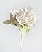 White Hydrangea Mulberry Paper Flower with Reed Diffuser for Home Fragrance Aroma Oil by Plawanature