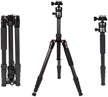 CAMBOFOTO Lightweight Carbon Fiber 61inch Camera Tripod Monopod 2 in 1 with 360 Degree Ball Head,Load Capacity 22lbs