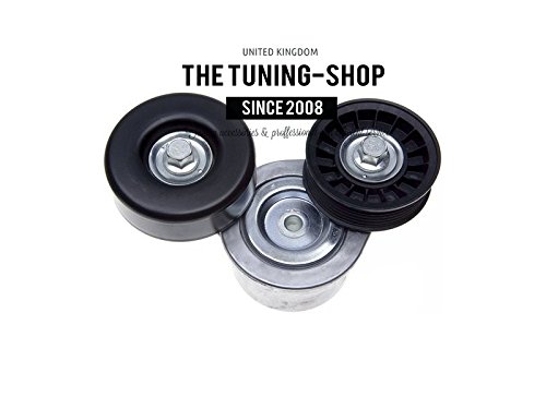 Automatic Belt Tensioner 89254 Dayco 3.7 4.7L