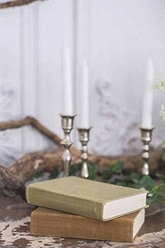 Notebear: Romantic Autumn Scenery For Photo Shoots Old Books, Green Branch, Candles Journal (Travel Notebook & Diary with Alternate Blank & Lined Pages)