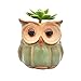 Ascrafter 5 Pcs 2.5 inch Ceramic Owl Succulent Planter Pot Succulent Container, Cactus Plant Pot, Mini Flower Pot With Holes