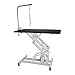 VEVOR 42.5 X 23.6 Inch Dog Grooming Table Z-Lift Hydraulic Grooming Table 330Lbs Weight Capacity Height Adjustable Pet Grooming Table with Adjustable Arm and Noose (Pet Hydraulic Table)