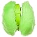 Ear Muffs-Neon Green W20S35A
