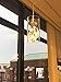 CLAXY Ecopower Mini Kitchen Island Pendant Lighting Modern Glass Crystal Hanging Light Fixture