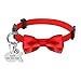 Didog Pretty Breakaway Cat Collars with Fish Shaped ID Tags,Bow-Tie Cat Collar Charms for Kitten Small Dogs,Red