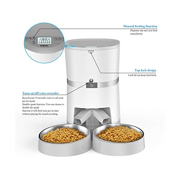 double automatic cat feeder