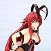 Z&I Exquisite Life High School D×D Adult Toy School DxD Bunny Girls Rias Gremory Himejima Akeno Girls Anime PVC Action Figures Toys Anime Figure