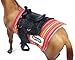 Breyer Western Horse and Rider - Horse and Doll Set