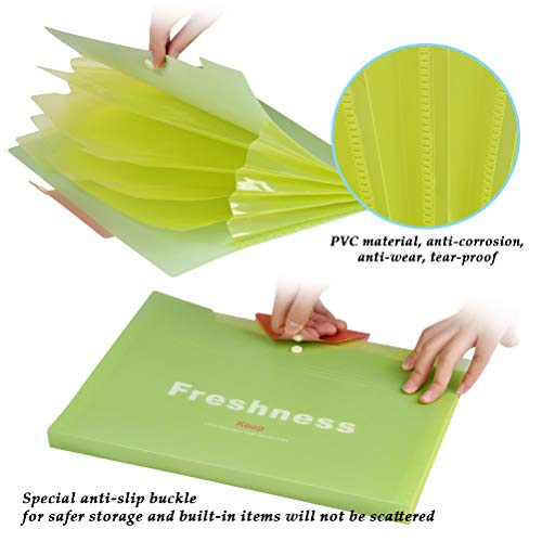 YOTINO 6 Pcs Expanding File Folder with 5 Pockets Plastic A4 Letter Size Document Organizer and 120 Pcs File Folder Labels for School Office Business (6 Color)